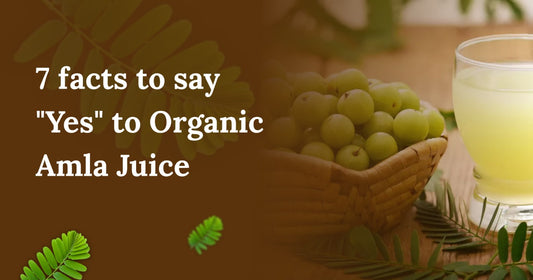 7 FACTS THAT YOU NEED TO KNOW TO UNDERSTAND HOW ORGANIC AMLA JUICE OR GOOSEBERRY JUICE S POSITIVELY BETTER THAN OTHER JUICES
