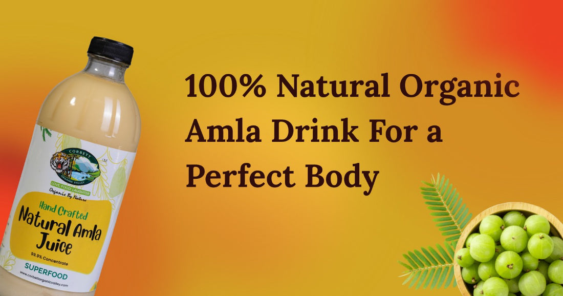 100% NATURAL, ORGANIC MEDICINAL AMLA DRINK FOR GREAT DIGESTION, DIABETES CONTROL, SHINING HAIR, HEALTHY BRAIN FUNCTIONS, NATURAL IMMUNITY AND FOR HAIR & SKIN RADIANCE